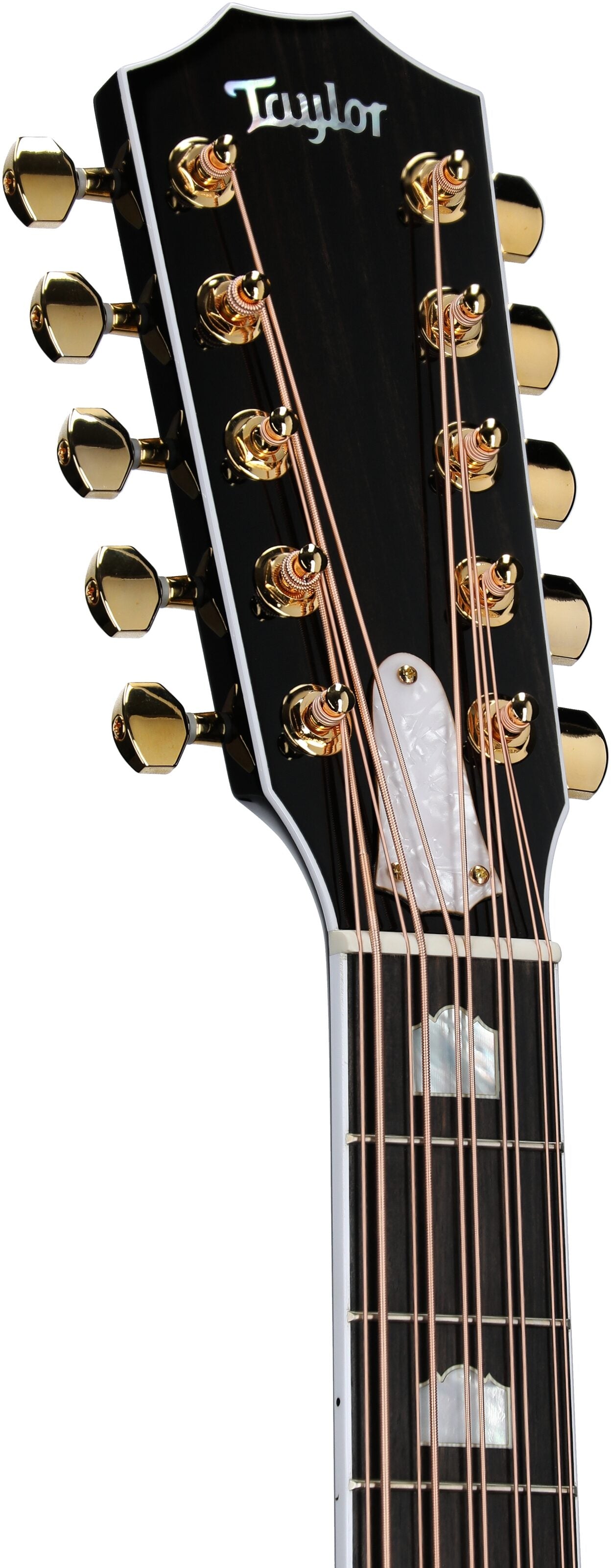 Đàn Guitar Acoustic Taylor 657CE Bajo Quinto - 10 Strings - Việt Music