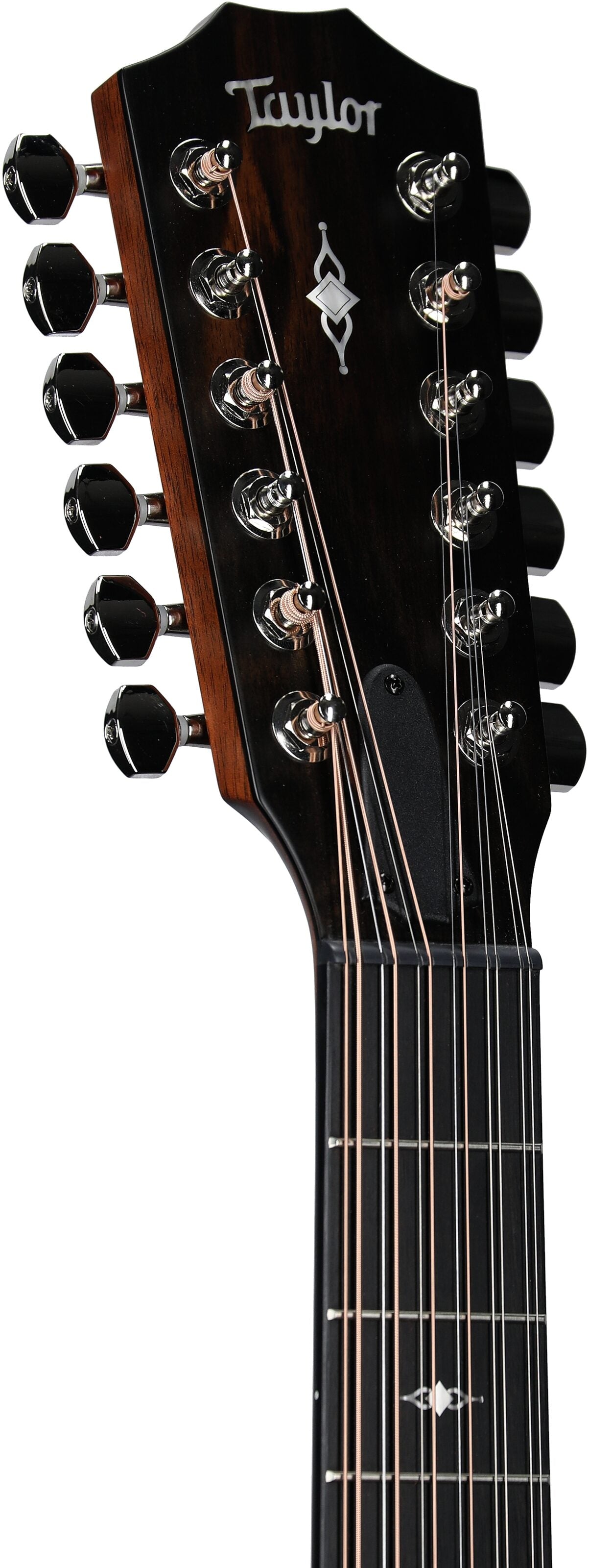 Đàn Guitar Acoustic Taylor 352CE - 12 Strings - Việt Music
