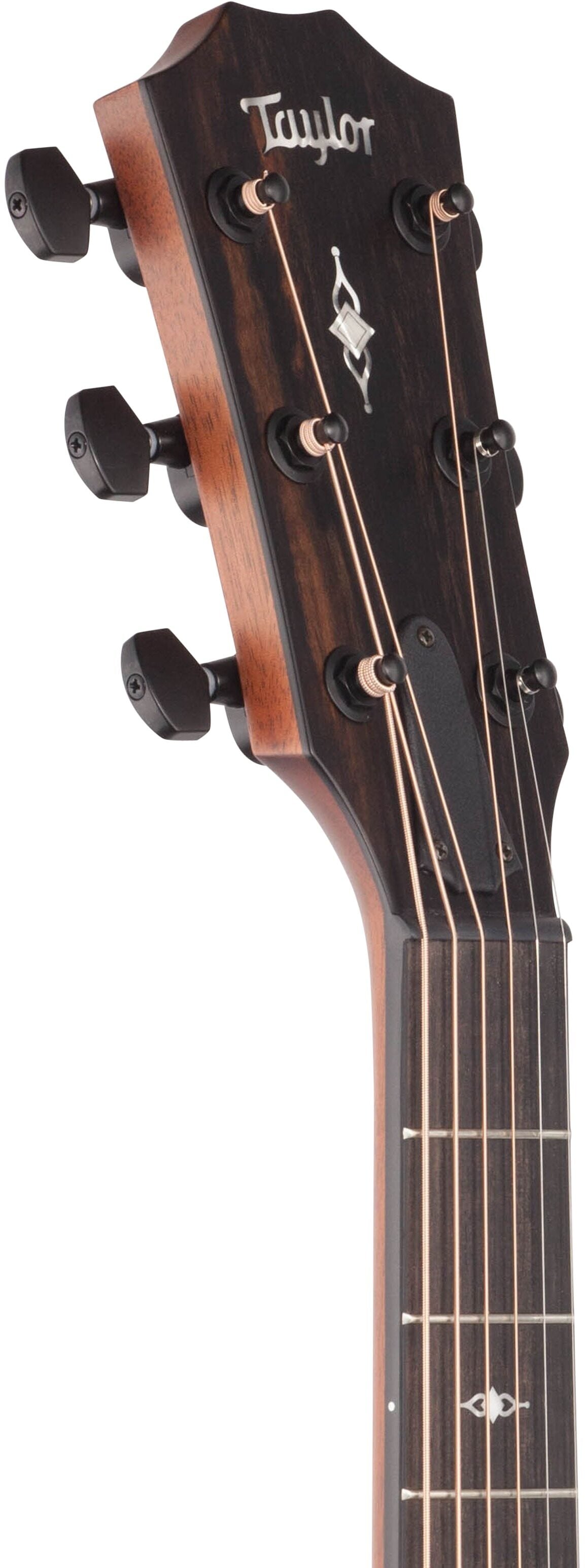 Đàn Guitar Acoustic Taylor 324E - Việt Music