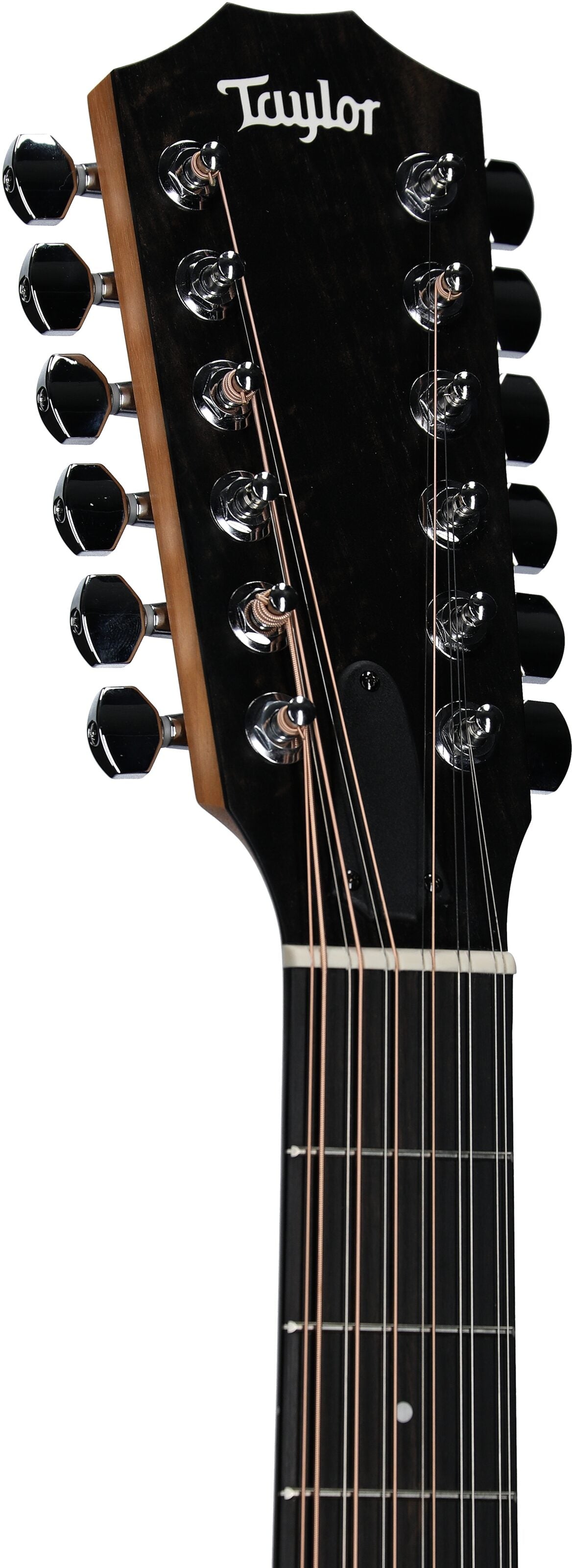 Đàn Guitar Acoustic Taylor 150CE - 12 Strings - Việt Music