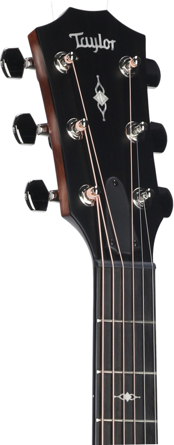 Đàn Guitar Acoustic Taylor 312CE - Việt Music