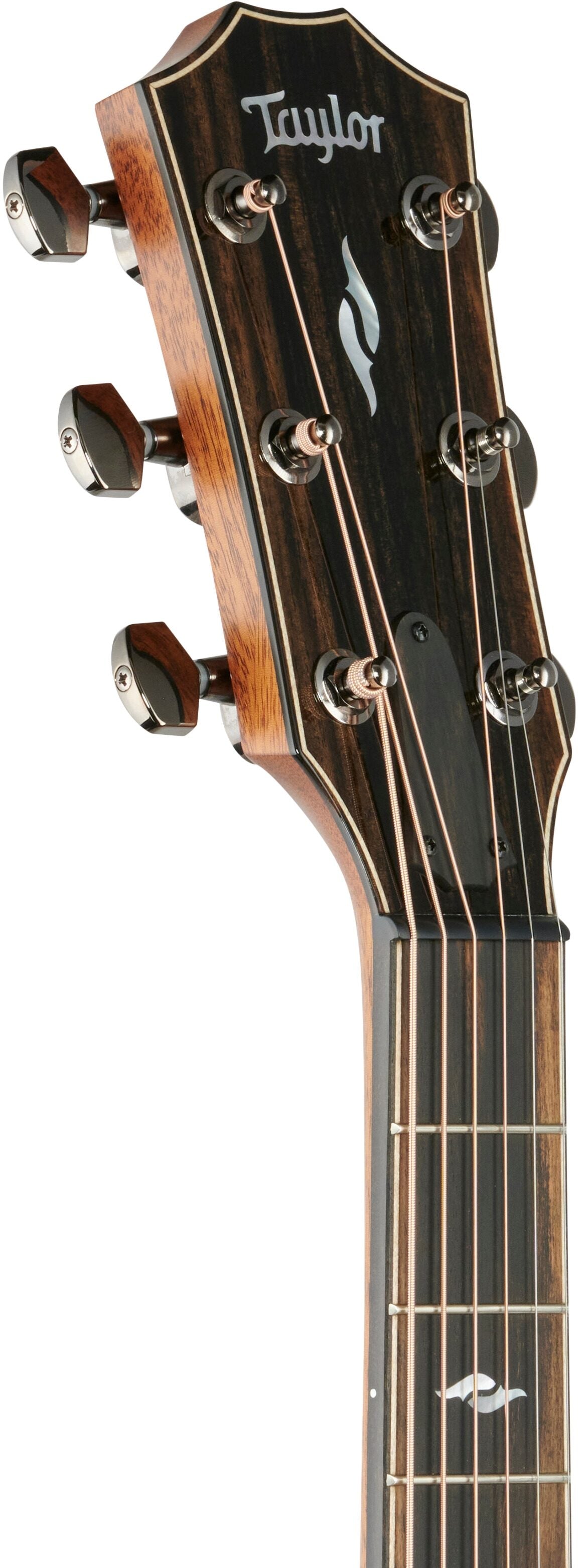 Đàn Guitar Acoustic Taylor 812CE - Việt Music