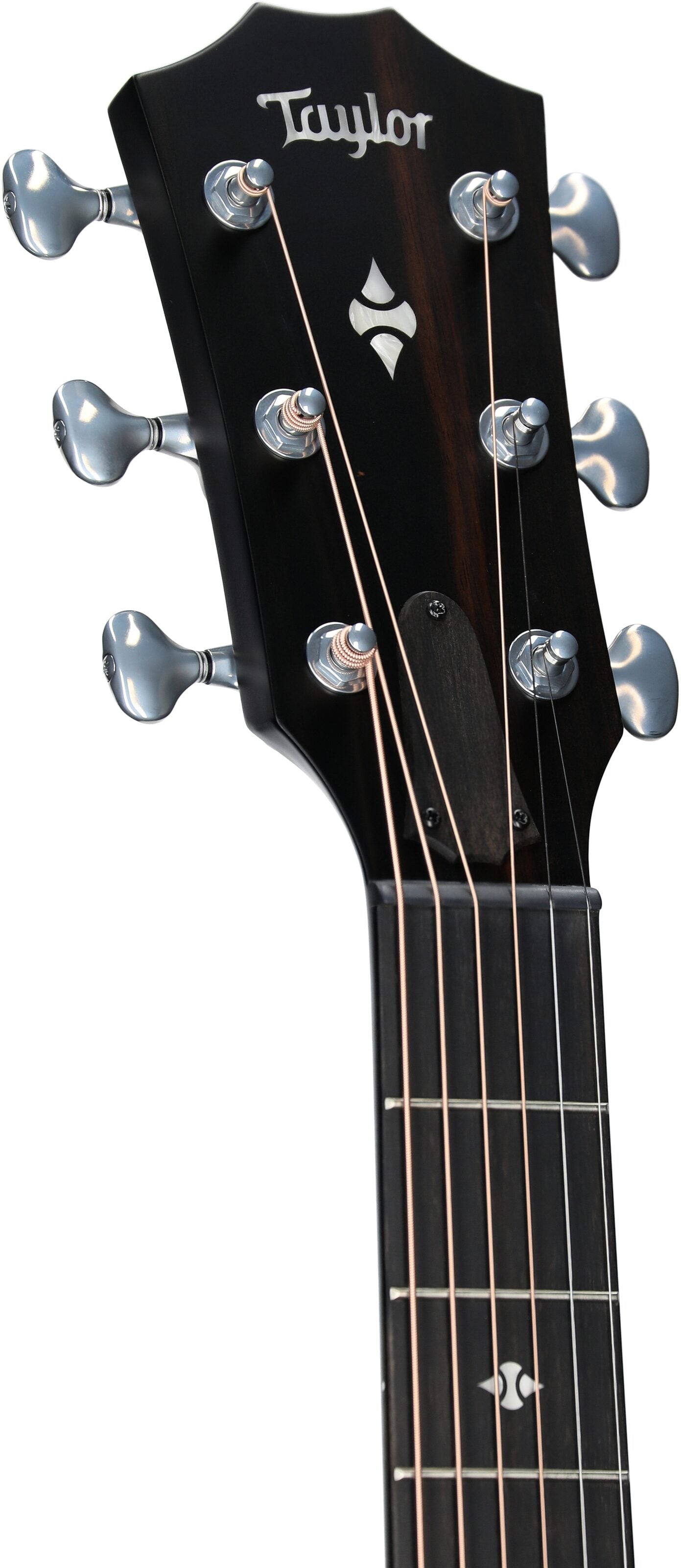 Đàn Guitar Acoustic Taylor Builder's Edition 524CE - Việt Music
