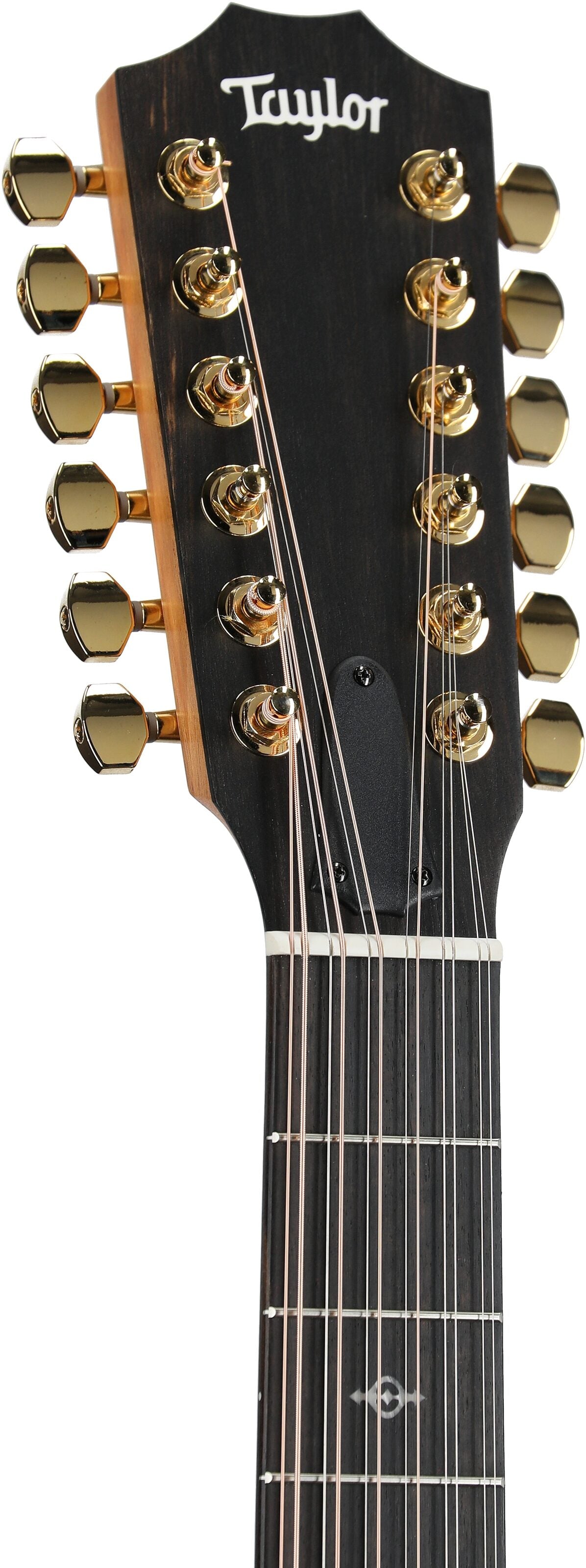 Đàn Guitar Acoustic Taylor 264CE-K DLX - 12 Strings - Việt Music
