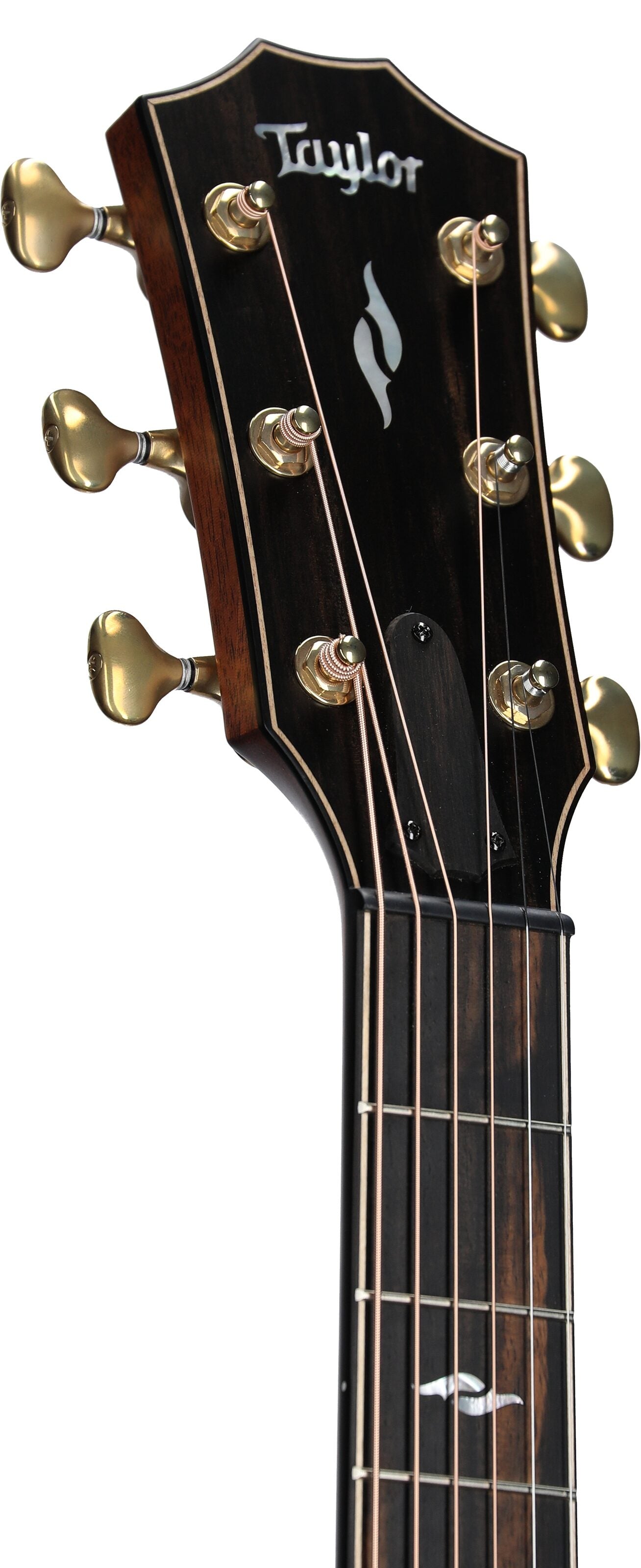 Đàn Guitar Acoustic Taylor Builder's Edition 814CE - Việt Music