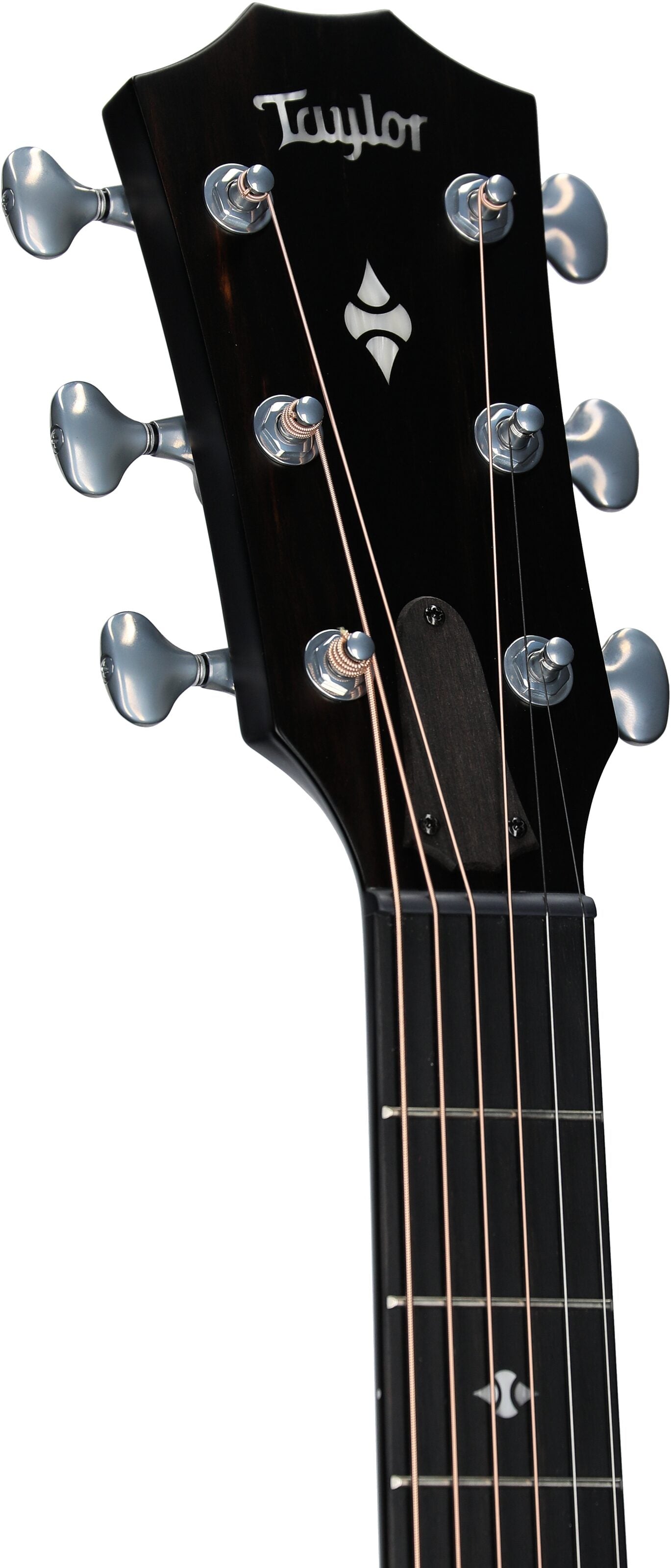 Đàn Guitar Acoustic Taylor Builder's Edition 514CE - Việt Music