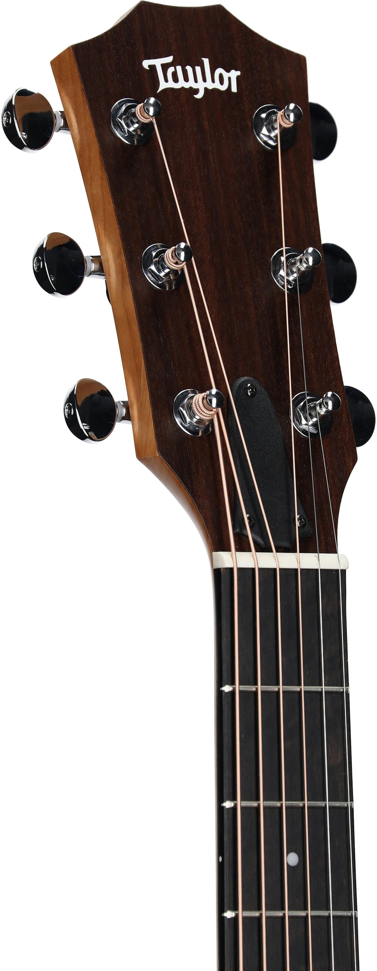 Đàn Guitar Acoustic Taylor 24CE - Việt Music