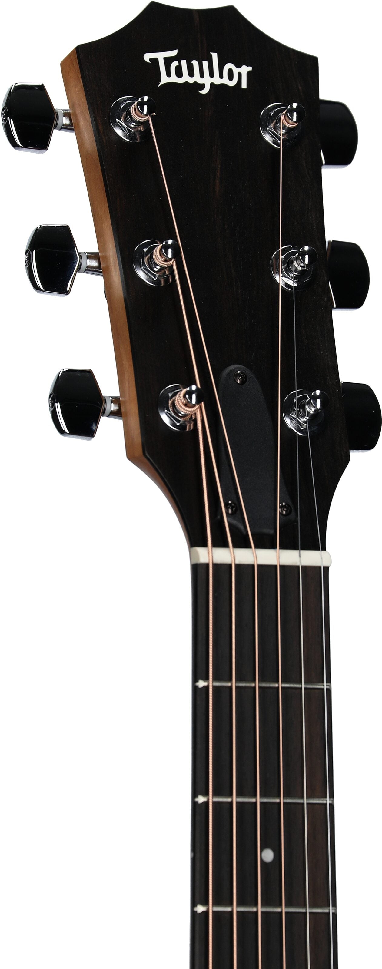 Đàn Guitar Acoustic Taylor 117E - Việt Music