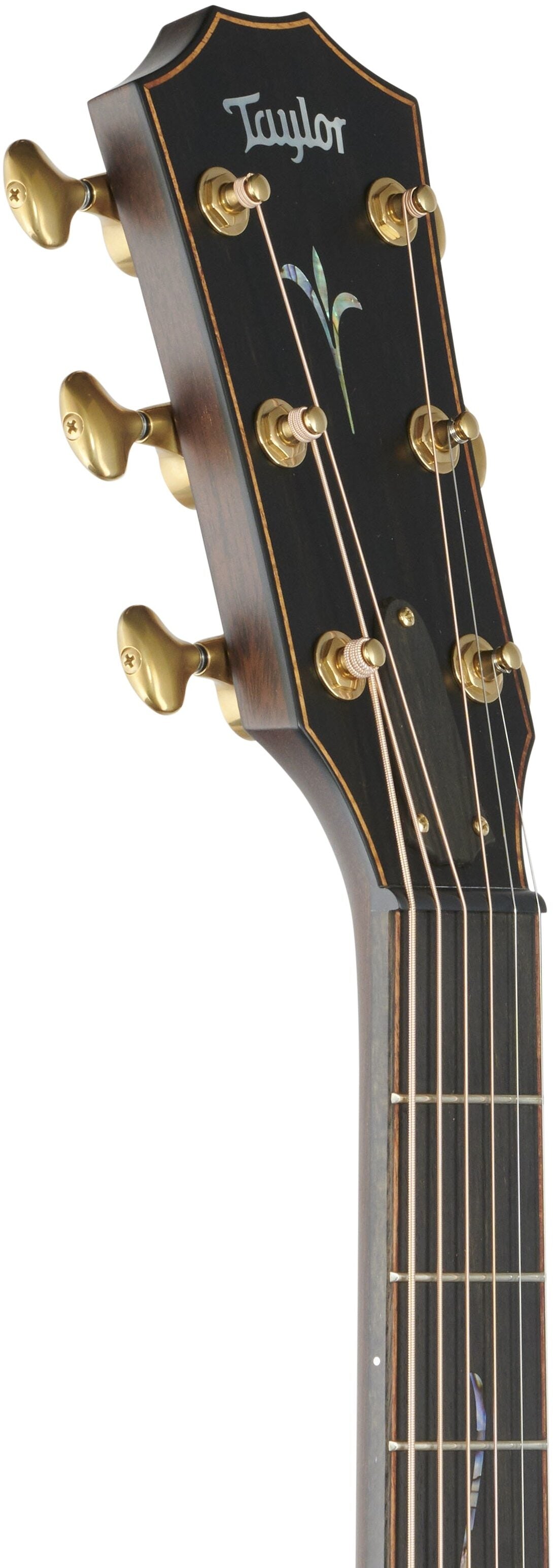 Đàn Guitar Acoustic Taylor Builder's Edition K14CE - Việt Music