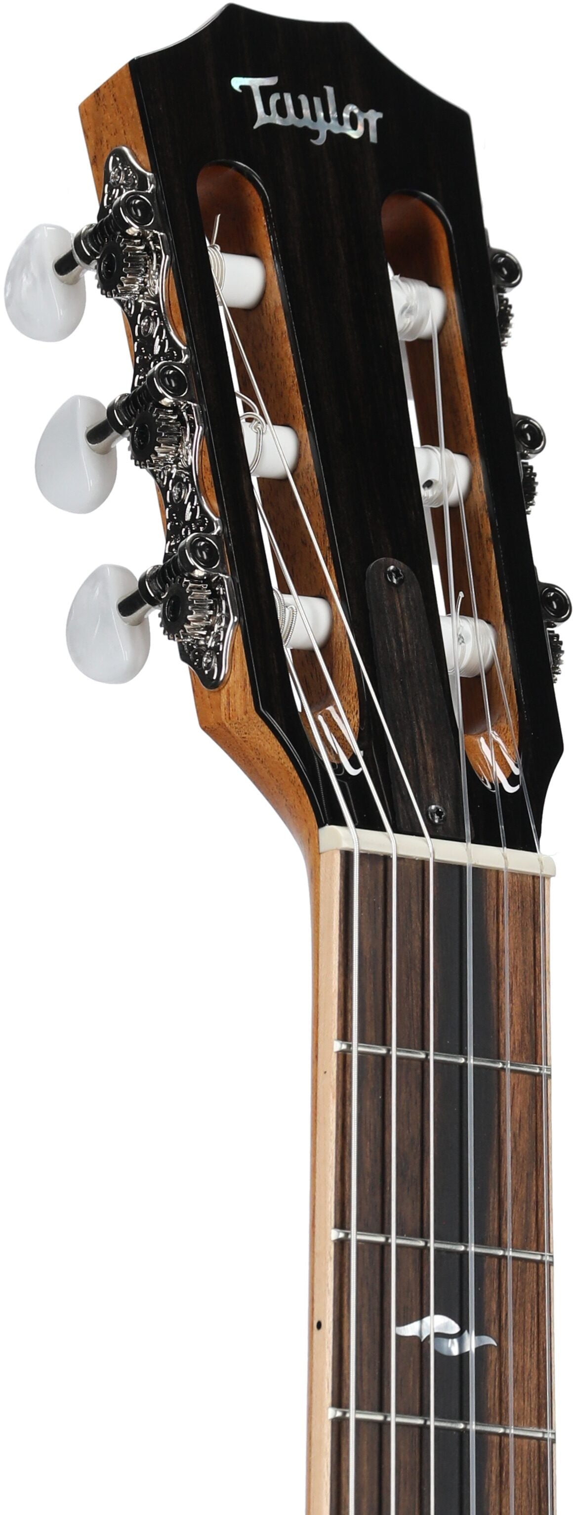 Đàn Guitar Classic Taylor 814CE-N - Việt Music