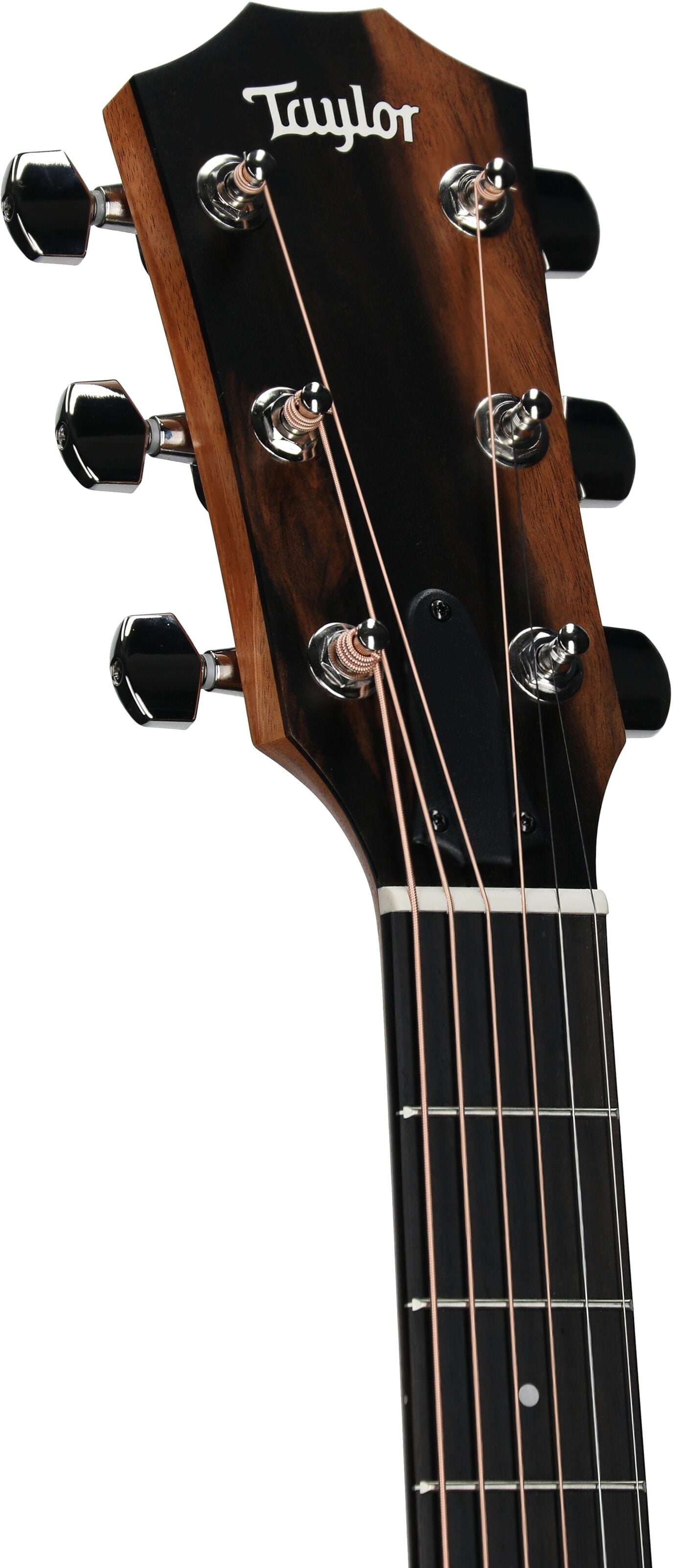 Đàn Guitar Acoustic Taylor 217E Plus - Việt Music