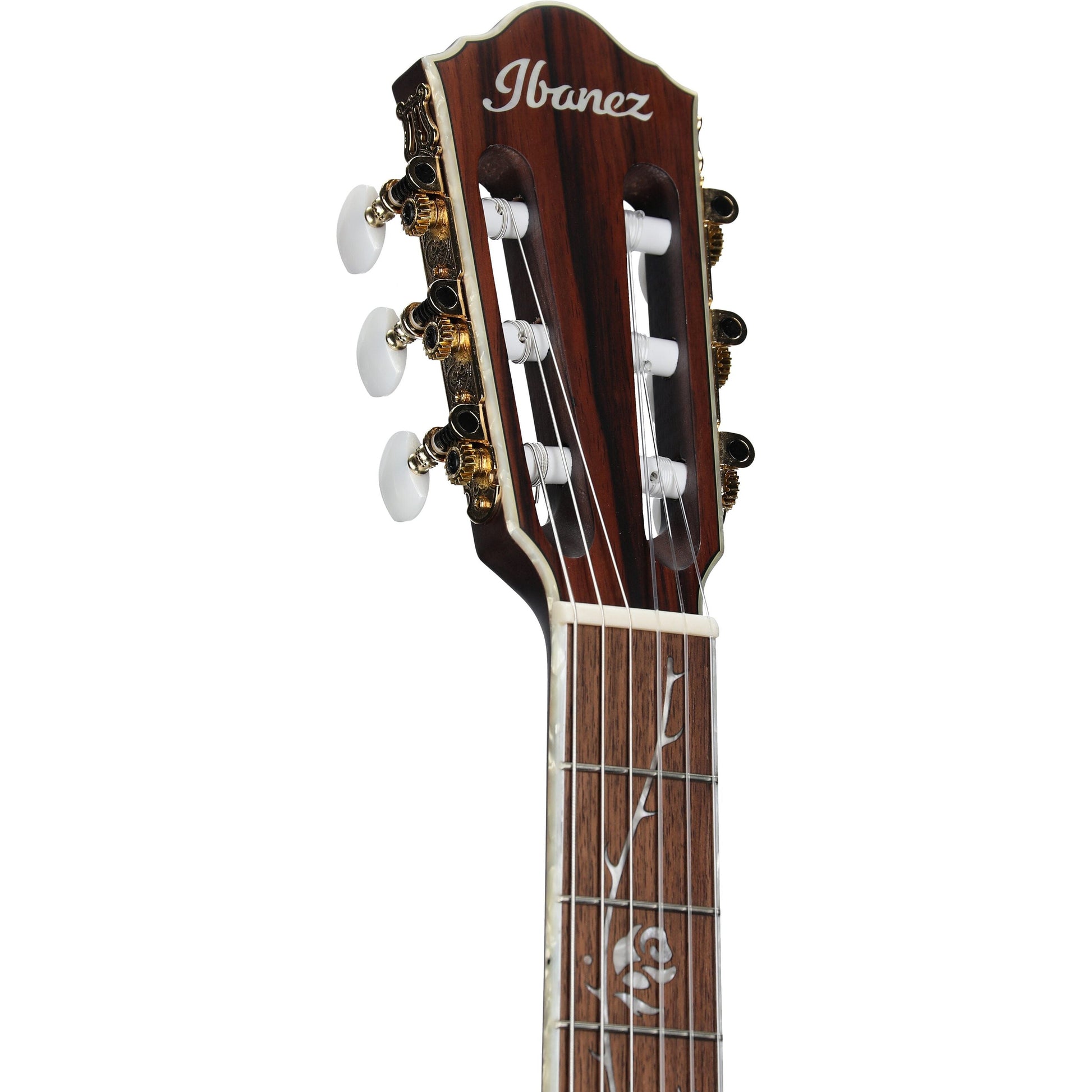 Đàn Guitar Classic Ibanez TOD10N Tim Henson Signature Nylon Acoustic, Black Flat - Việt Music