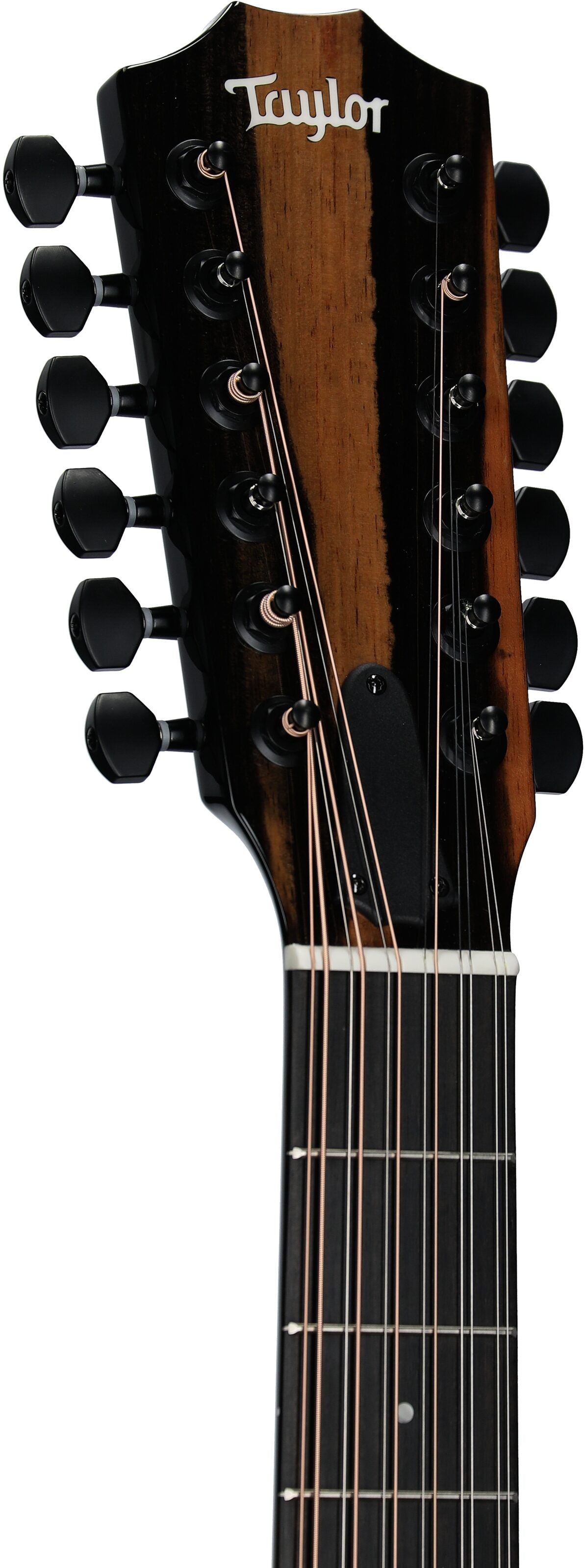 Đàn Guitar Acoustic Taylor 250CE Plus - 12 Strings - Việt Music