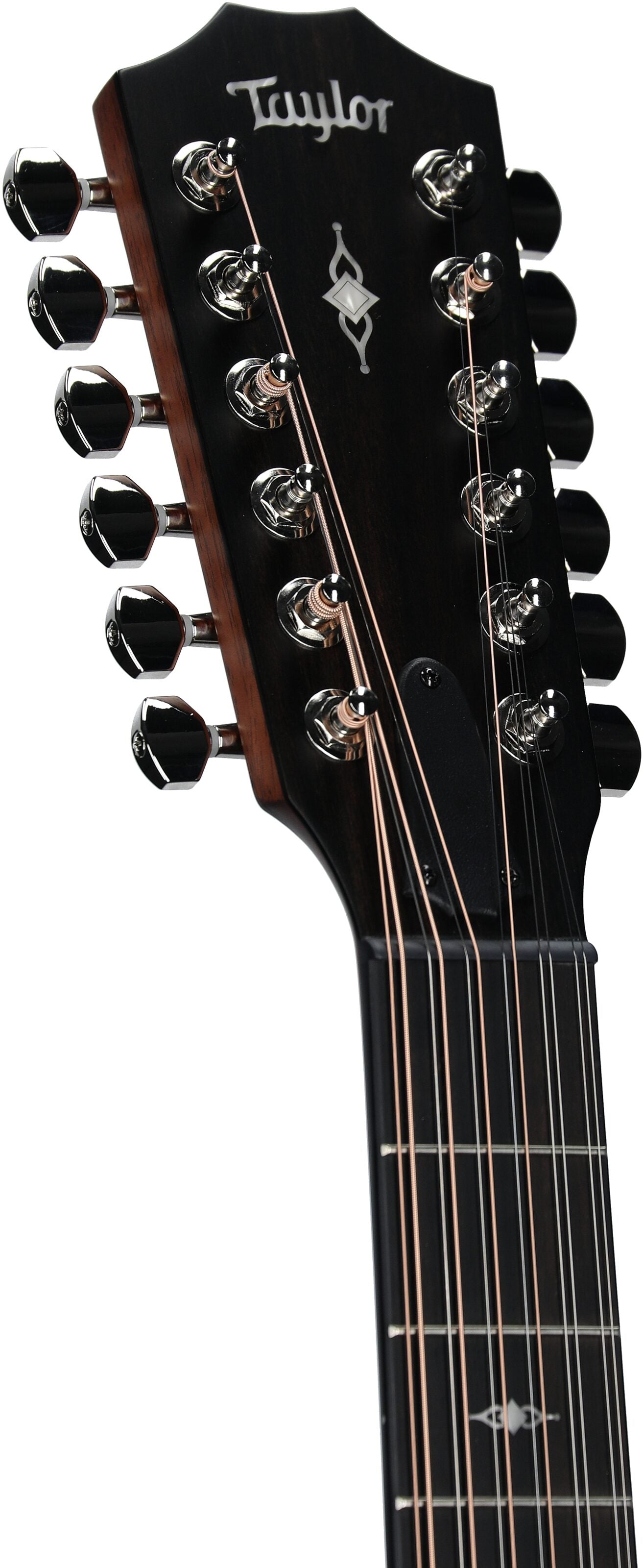 Đàn Guitar Acoustic Taylor 354CE - 12 Strings - Việt Music