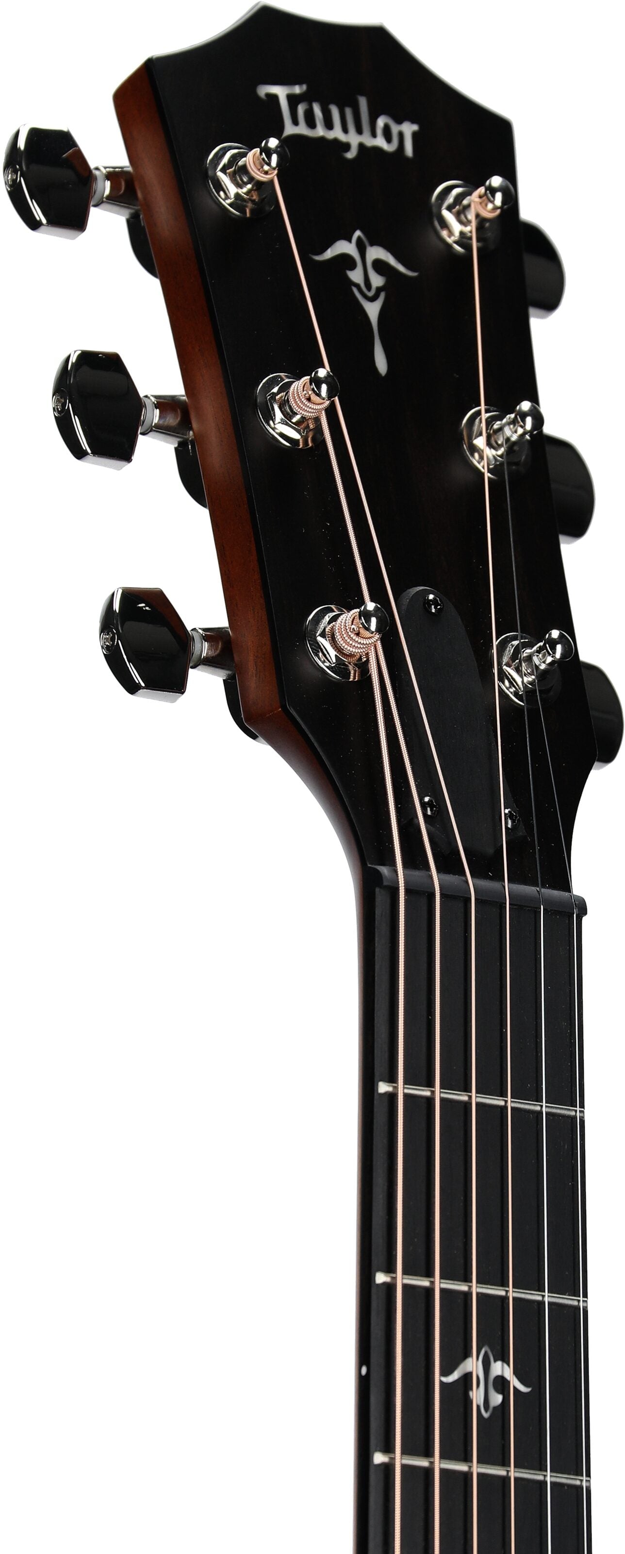 Đàn Guitar Acoustic Taylor 514CE - Việt Music