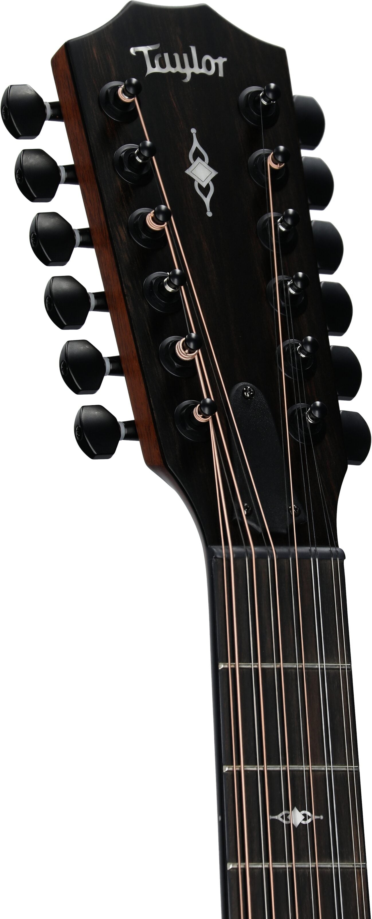 Đàn Guitar Acoustic Taylor 362CE - 12 Strings - Việt Music