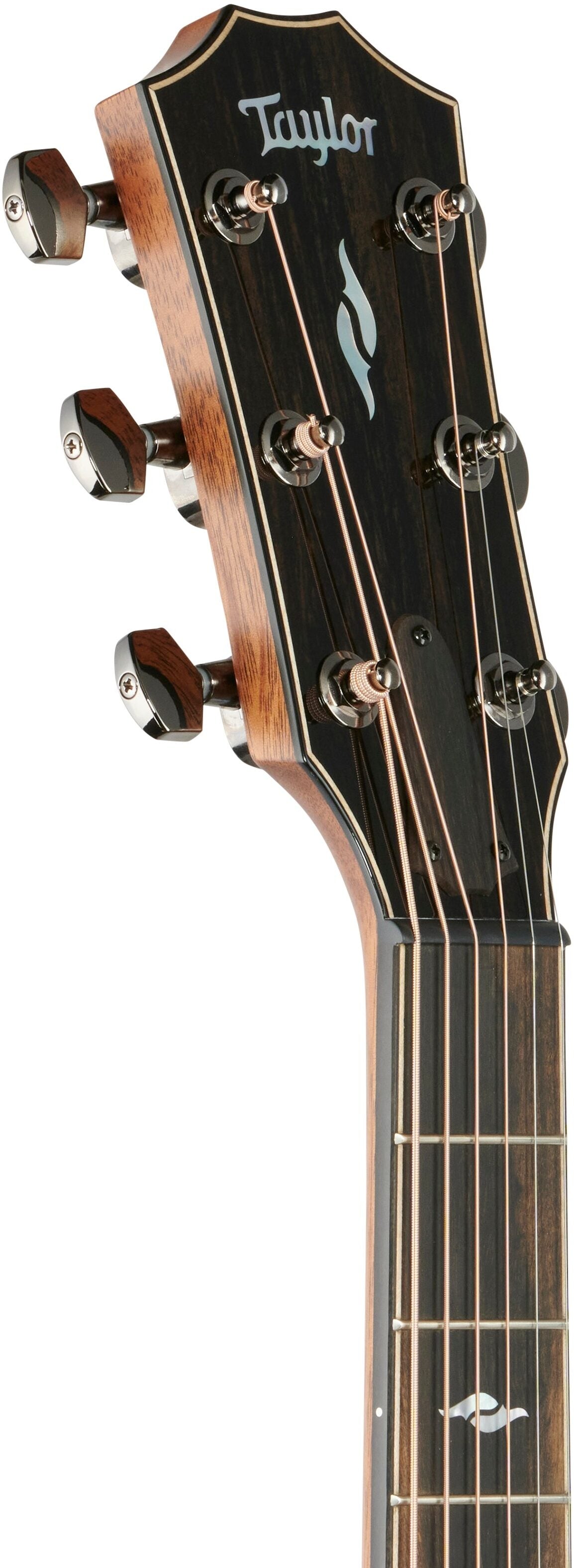 Đàn Guitar Acoustic Taylor 814CE - Việt Music