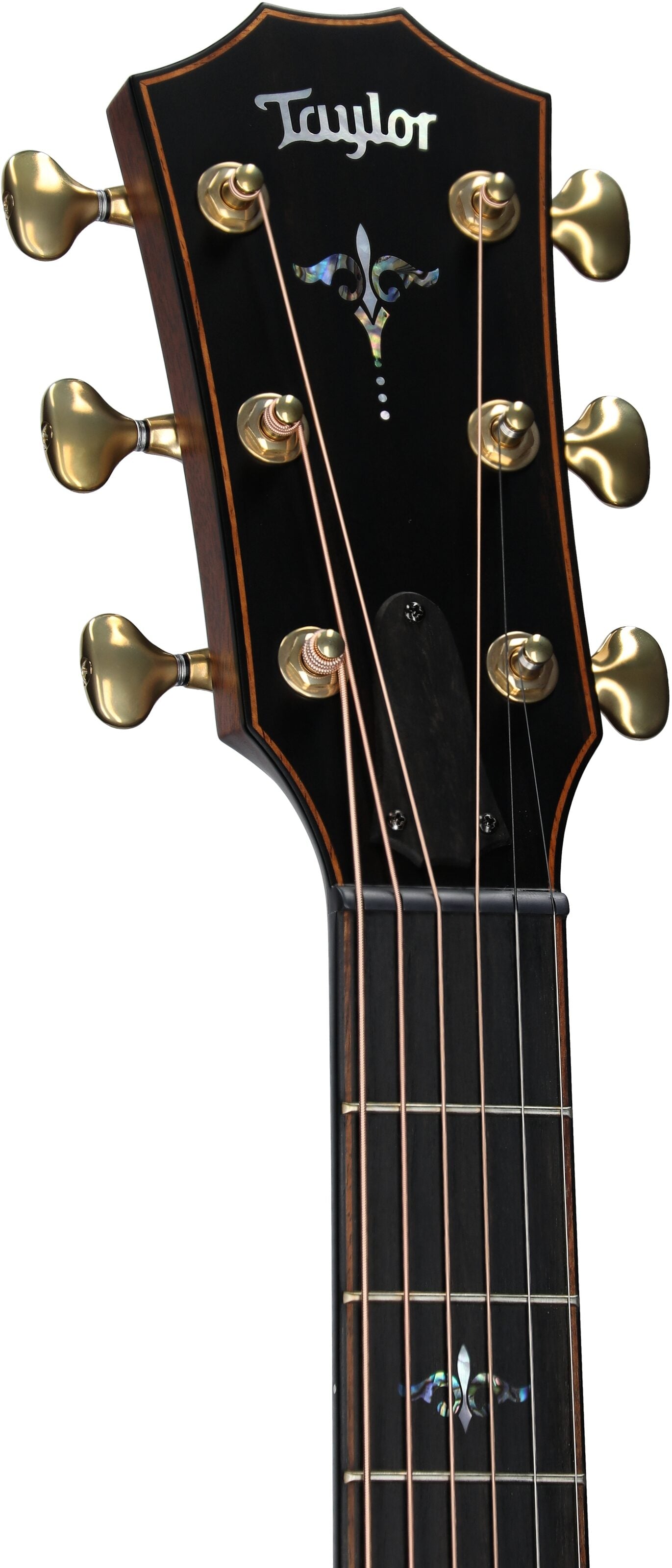 Đàn Guitar Acoustic Taylor Builder's Edition 914CE Honduran Rosewood - Việt Music