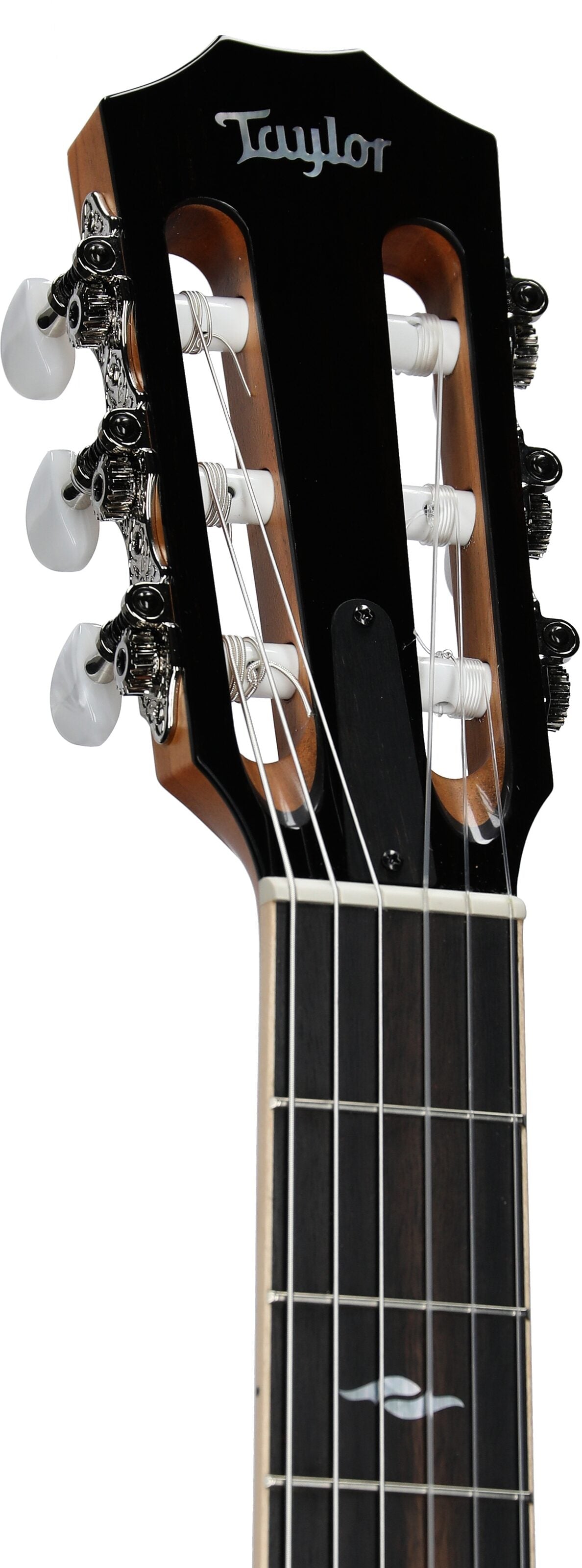 Đàn Guitar Classic Taylor 812CE-N - Việt Music