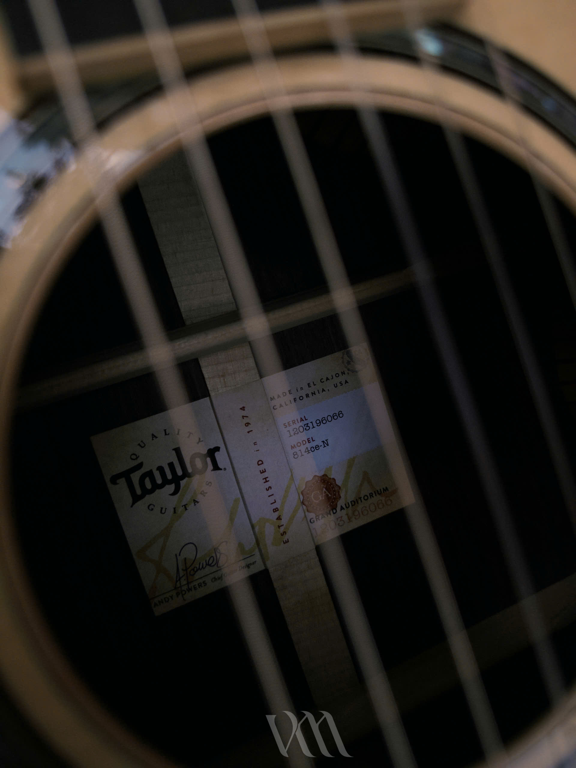 Đàn Guitar Classic Taylor 814CE-N - Việt Music