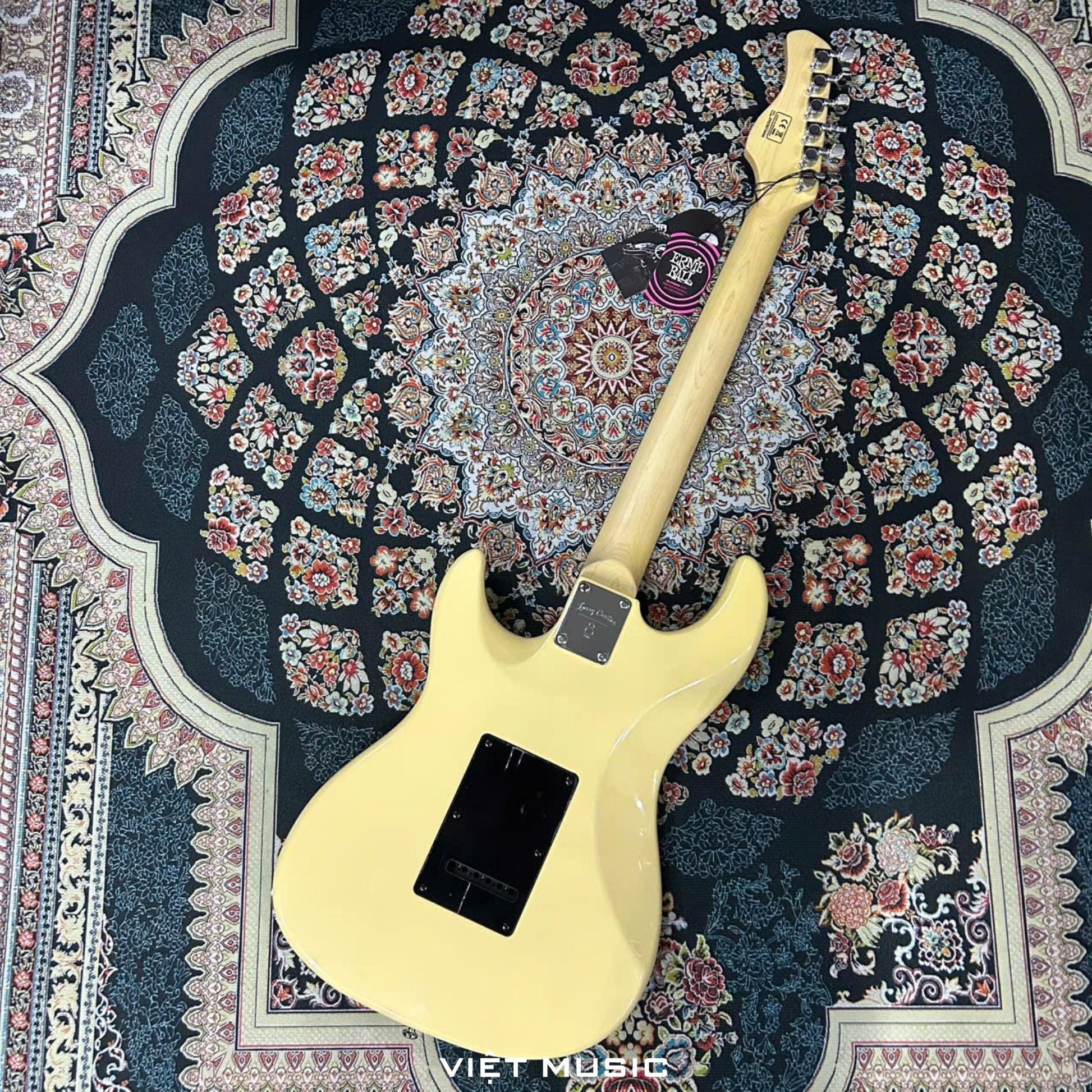Đàn Guitar Điện Sire Larry Carlton S3 - Việt Music