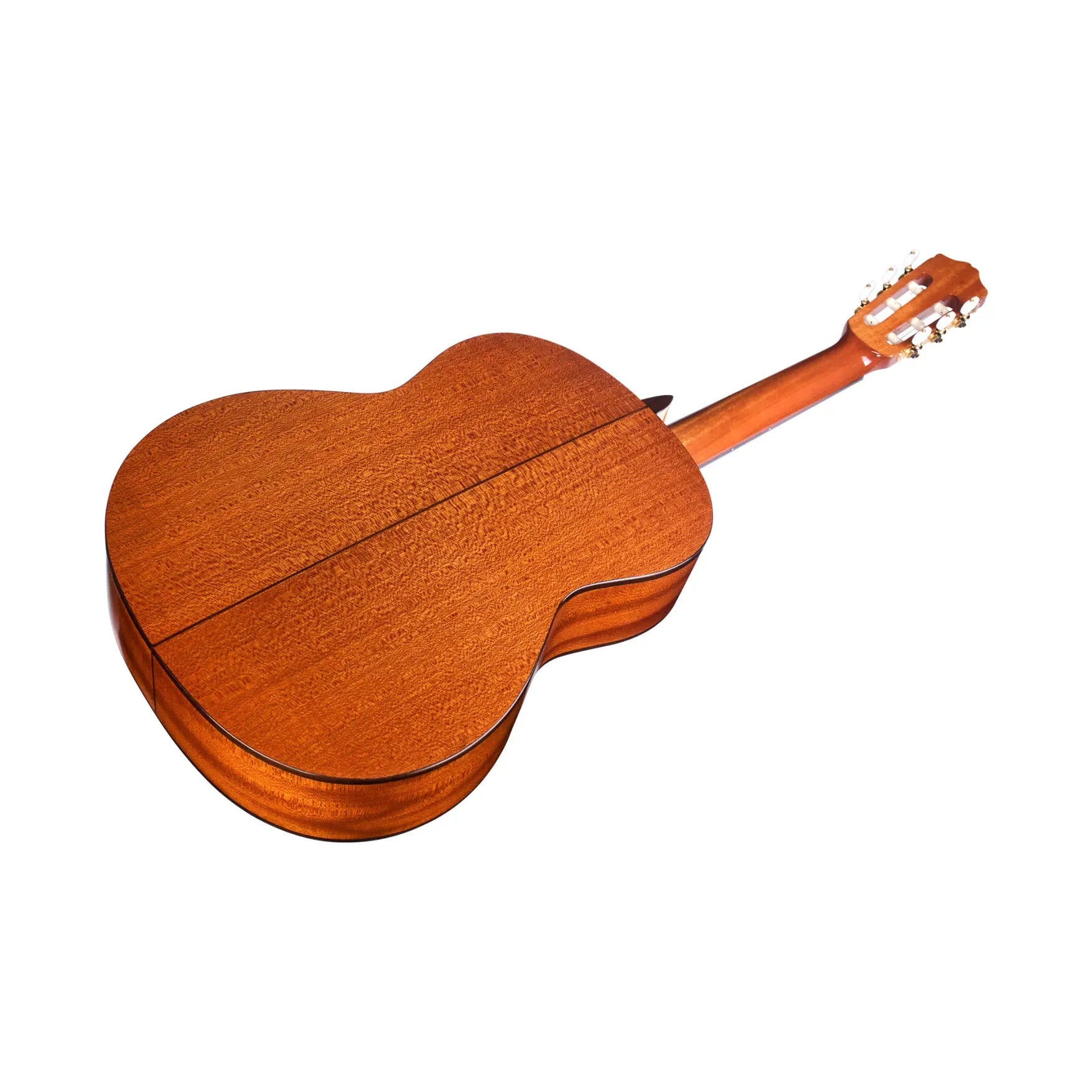 Đàn Guitar Classic Cordoba C5 SP Spruce w/Deluxe Gig Bag - Việt Music