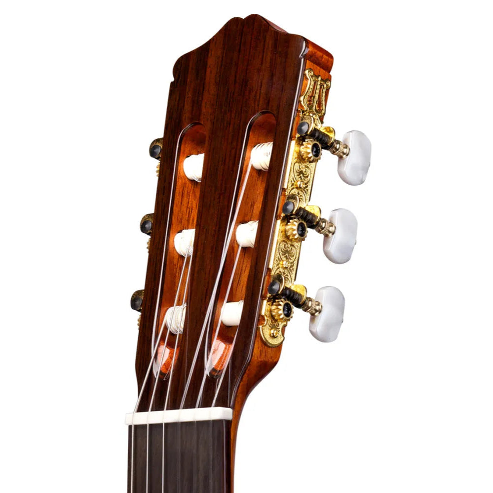 Đàn Guitar Classic Cordoba C5 Limited w/Deluxe Gig Bag - Việt Music