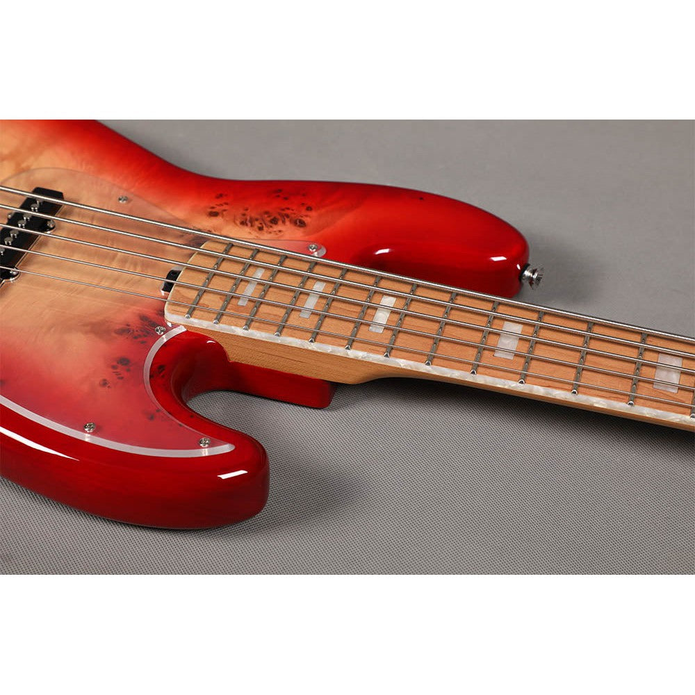 Đàn Guitar Bass Sqoe SJB750 SS, Maple Fingerboard - 5 Strings - Việt Music