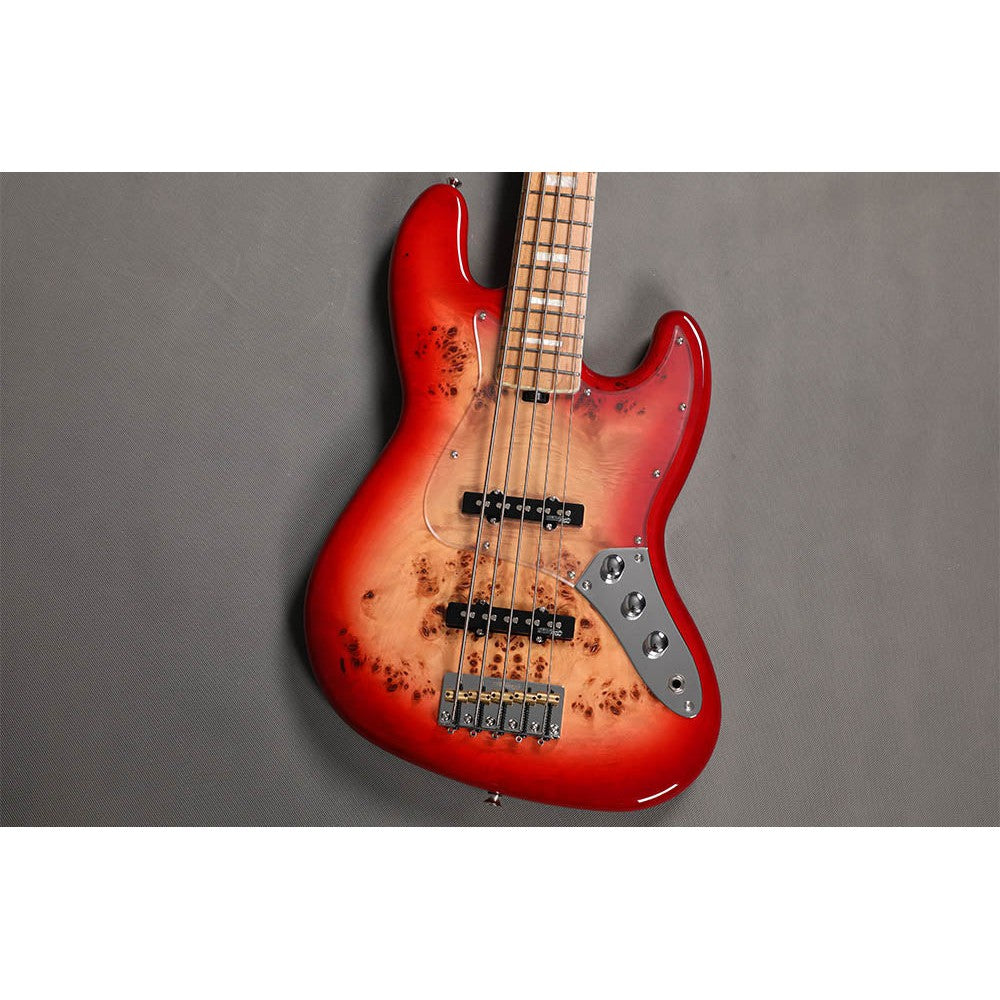 Đàn Guitar Bass Sqoe SJB750 SS, Maple Fingerboard - 5 Strings - Việt Music