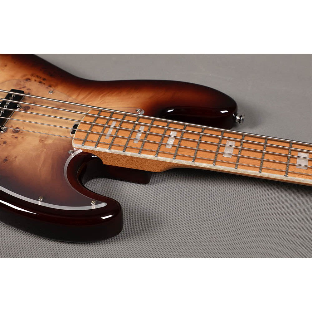 Đàn Guitar Bass Sqoe SJB750 SS, Maple Fingerboard - 5 Strings - Việt Music