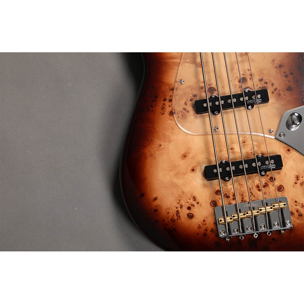 Đàn Guitar Bass Sqoe SJB750 SS, Maple Fingerboard - 5 Strings - Việt Music