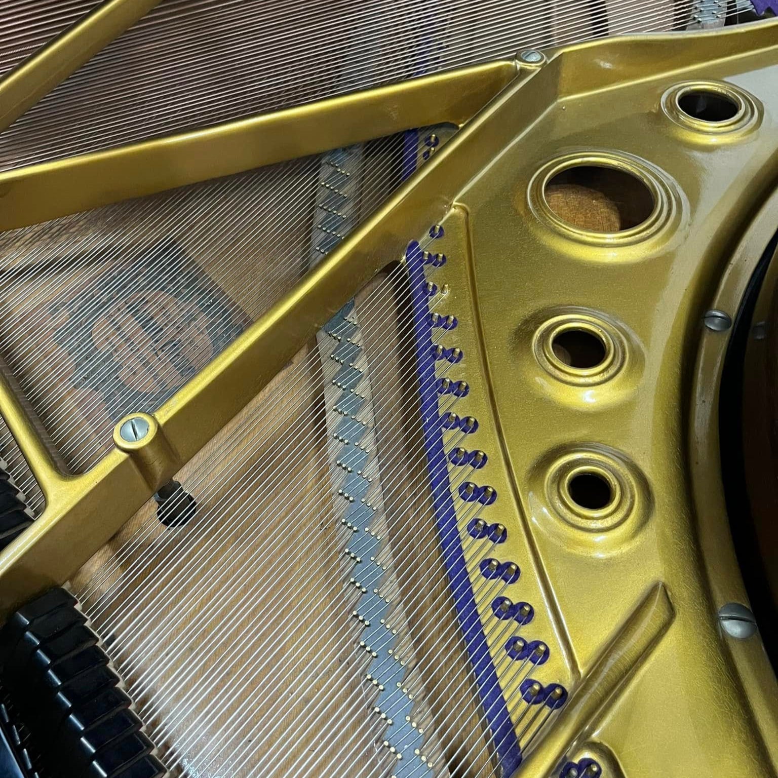 Grand Piano Yamaha No.20 - Qua Sử Dụng - Việt Music