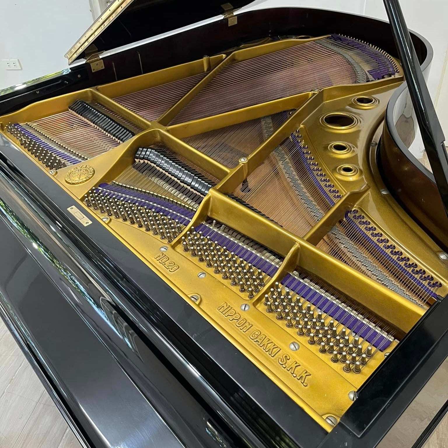 Grand Piano Yamaha No.20 - Qua Sử Dụng - Việt Music