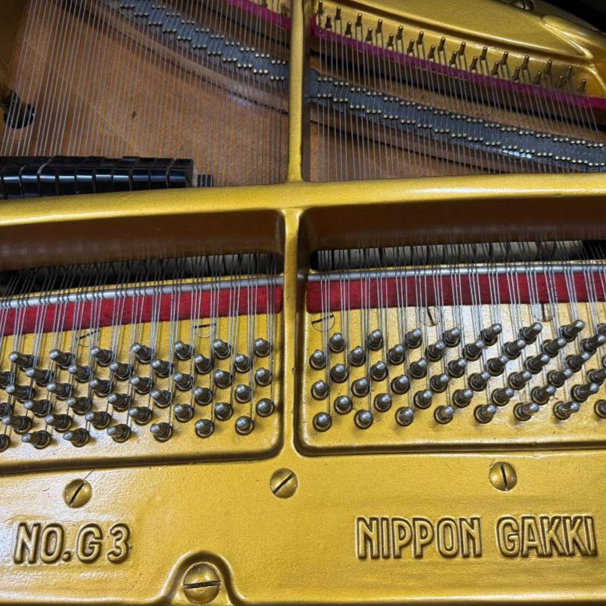 Grand Piano Yamaha G3 - Qua Sử Dụng - Việt Music