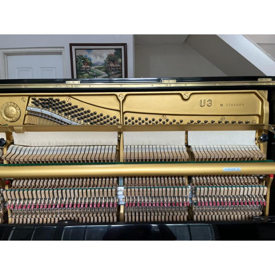Đàn Piano Cơ Upright Yamaha U3M - Qua Sử Dụng - Việt Music