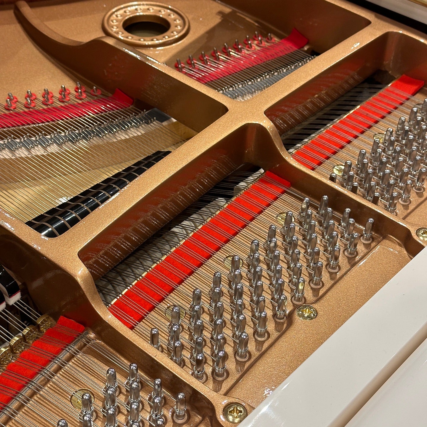 Grand Piano Steinhoven SG-160 - Qua Sử Dụng - Việt Music