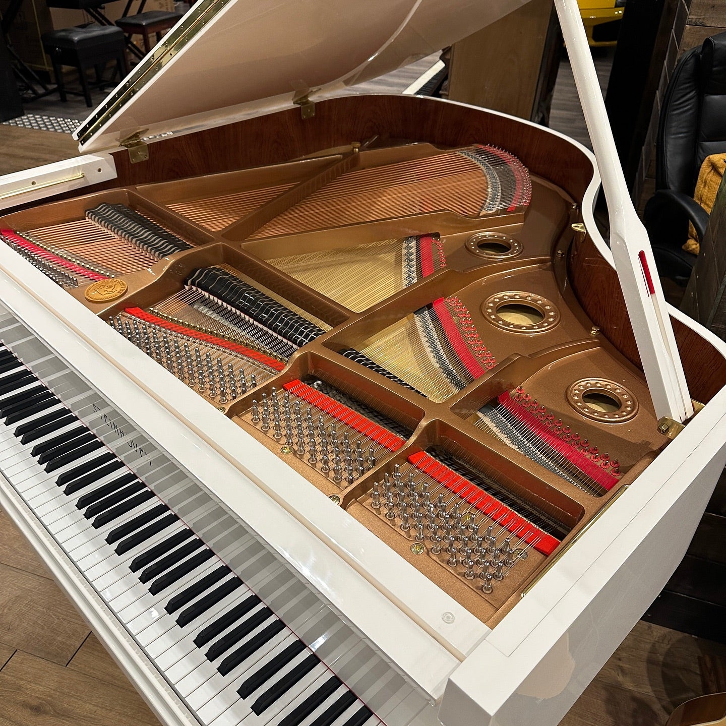 Grand Piano Steinhoven SG-160 - Qua Sử Dụng - Việt Music