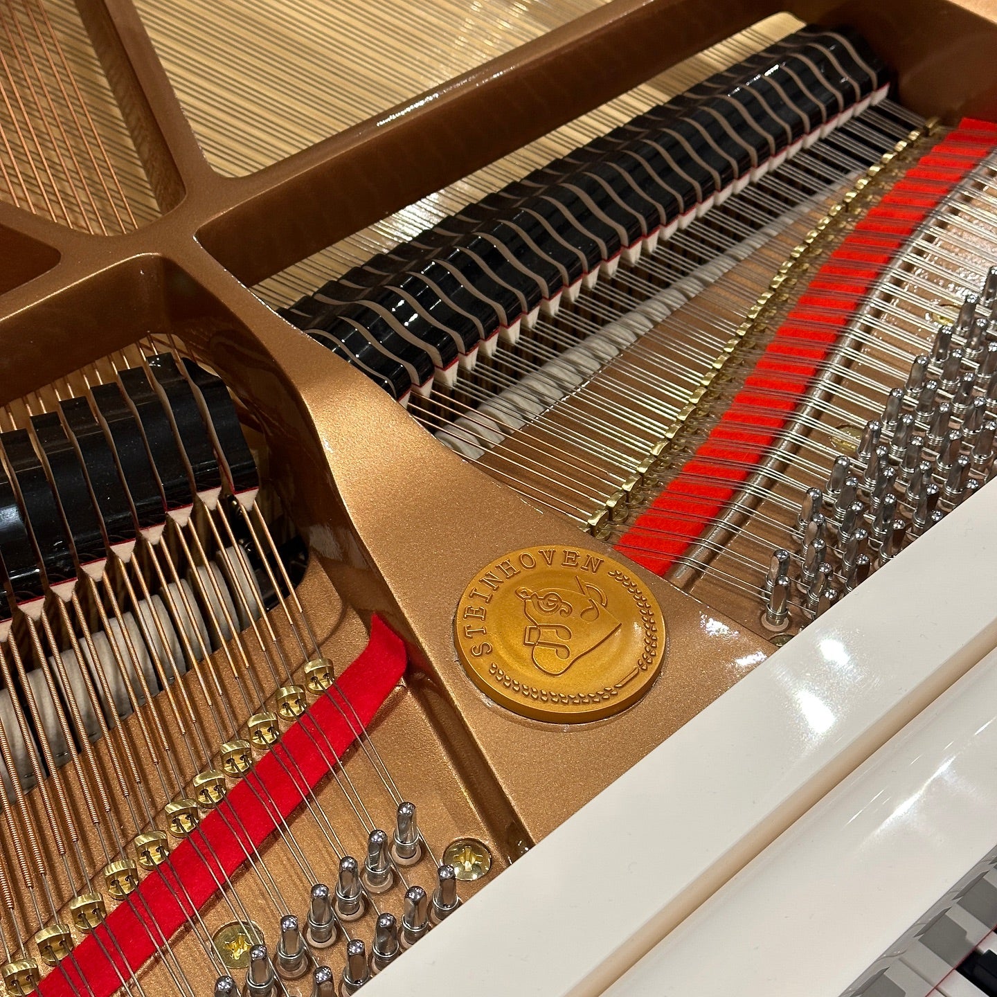 Grand Piano Steinhoven SG-160 - Qua Sử Dụng - Việt Music