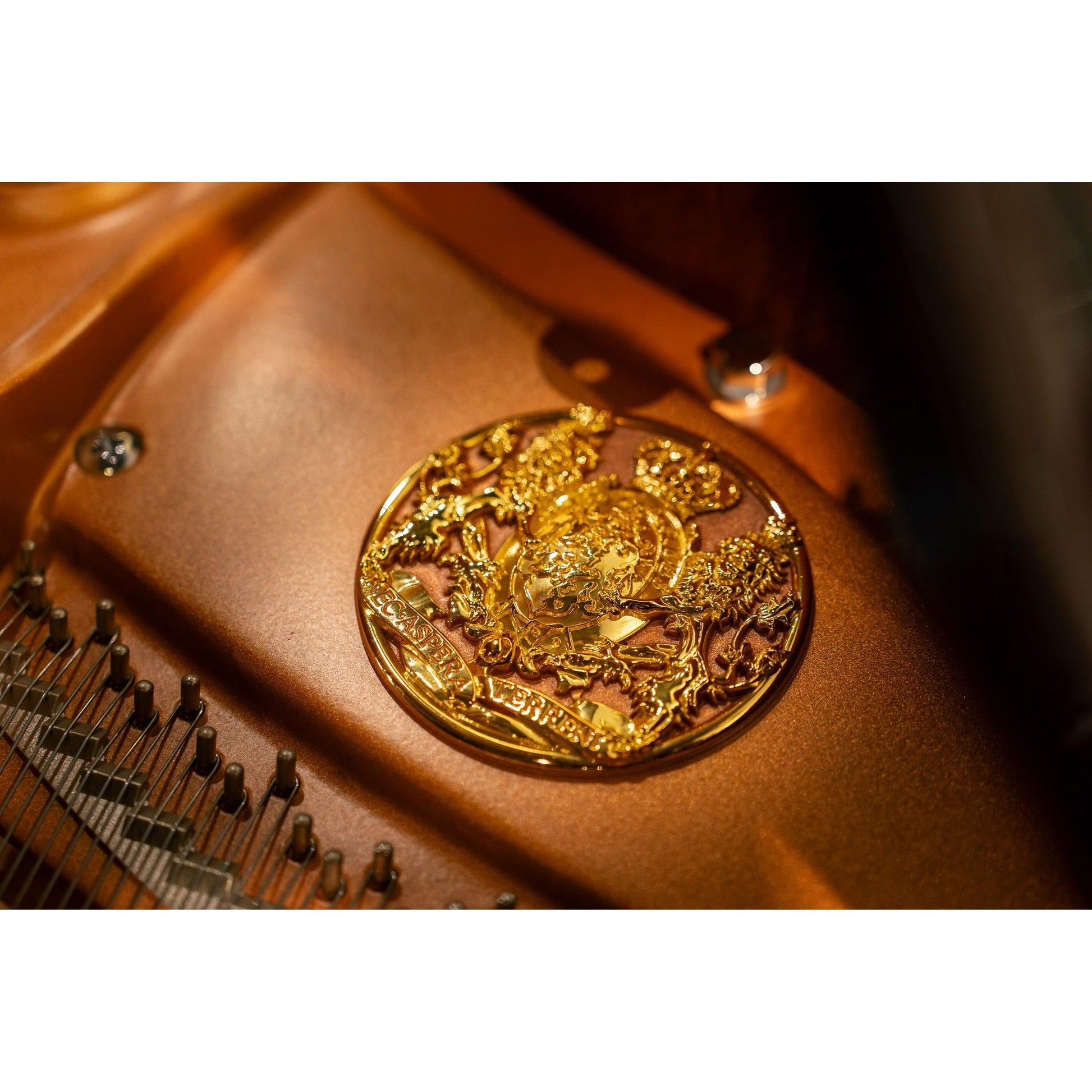 Grand Piano Wilhelm Grotrian WG188CC - 185th Anniversary - Việt Music