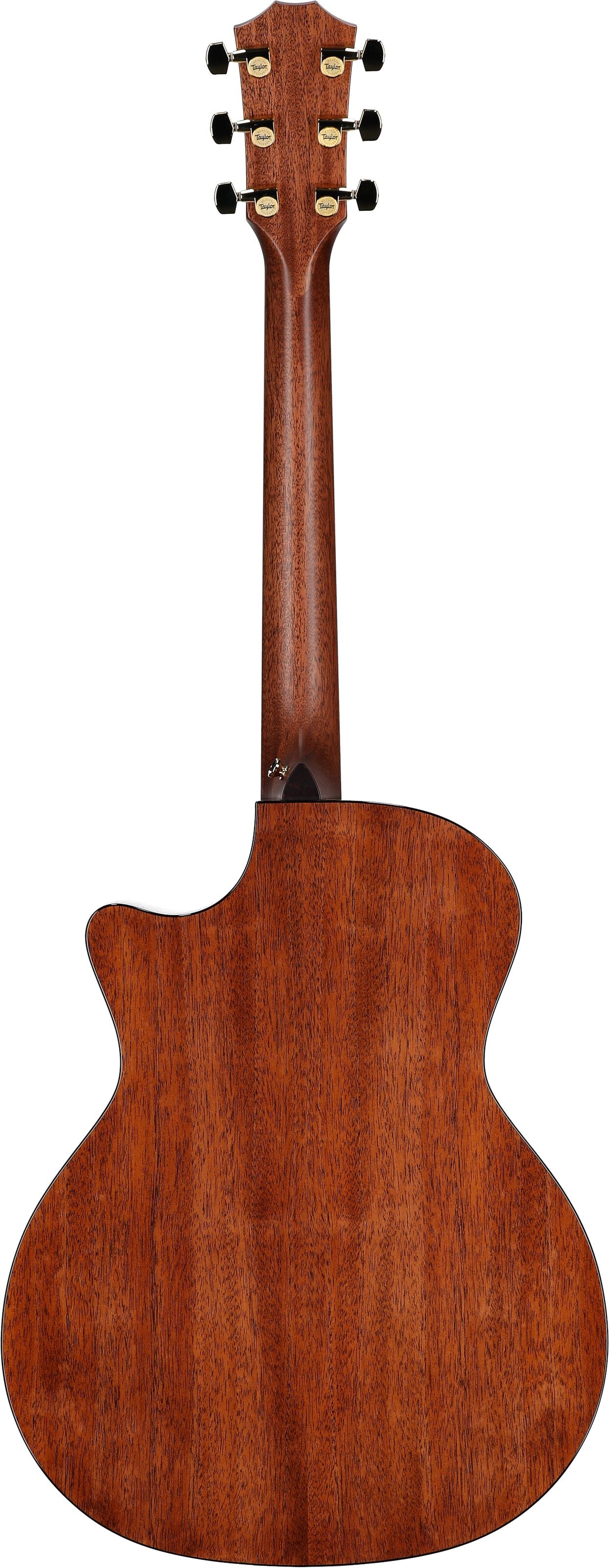 Đàn Guitar Acoustic Taylor Legacy 514CE - Việt Music