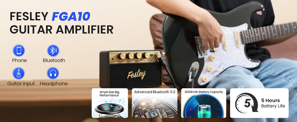 Amplifier Fesley FGA10, Combo 10W