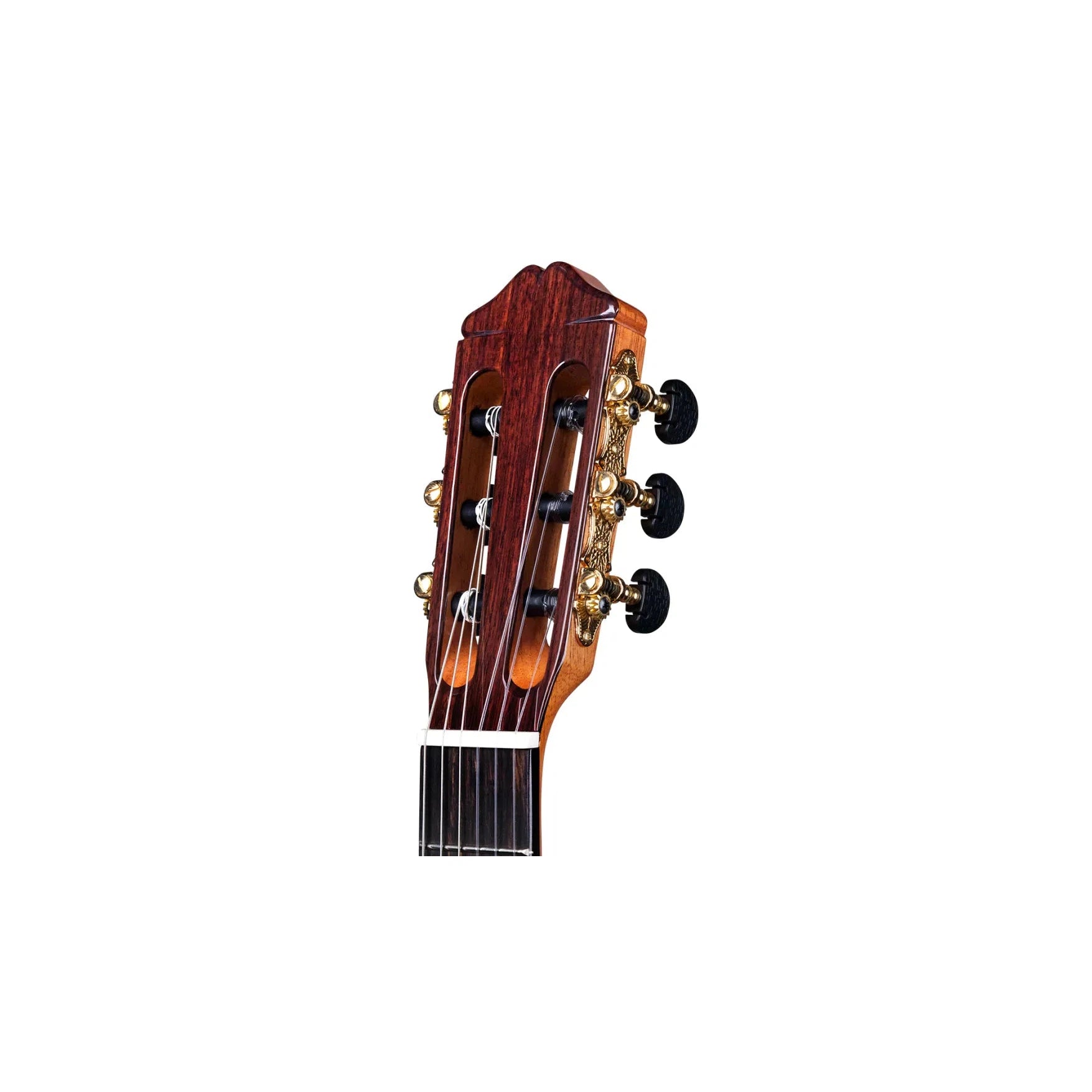 Đàn Guitar Classic Cordoba 45CO - Việt Music