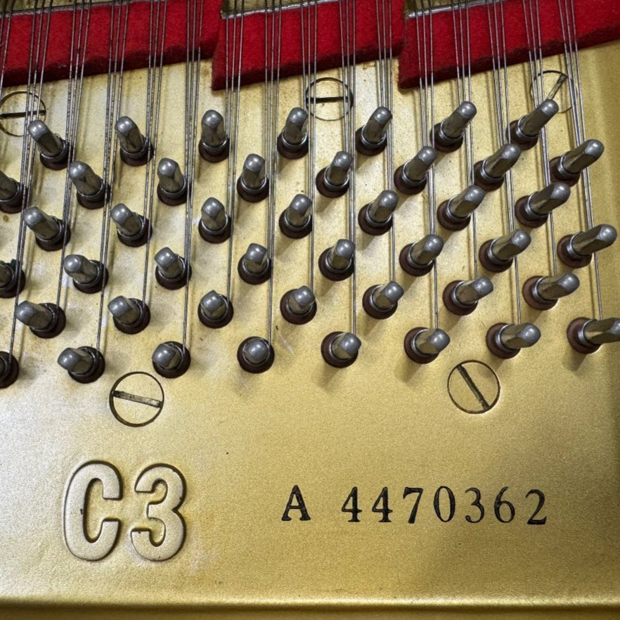 Grand Piano Yamaha C3A - Qua Sử Dụng - Việt Music