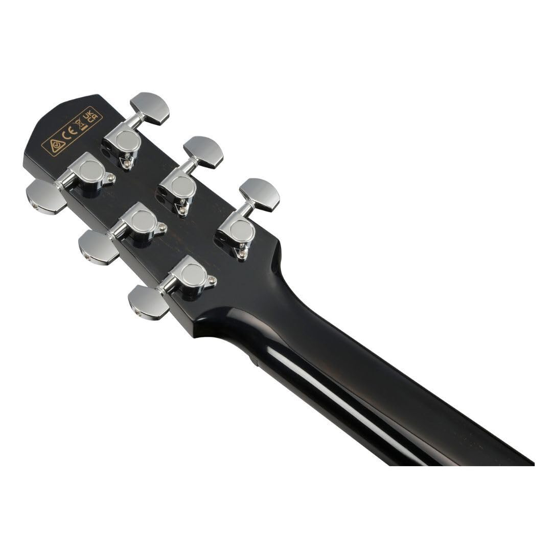 Đàn Guitar Acoustic Ibanez AAM340CE - Việt Music