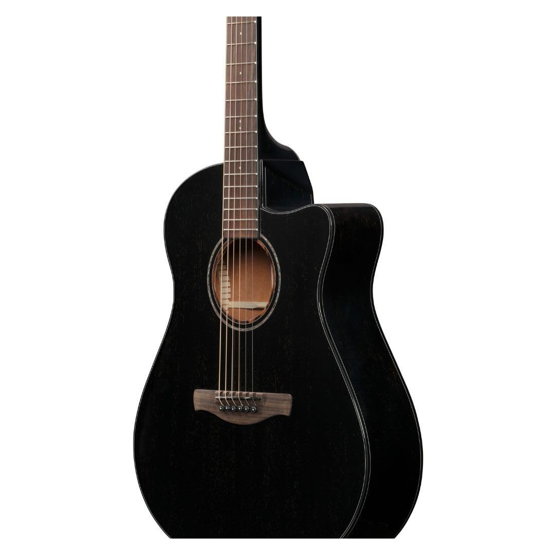 Đàn Guitar Acoustic Ibanez AAM340CE - Việt Music