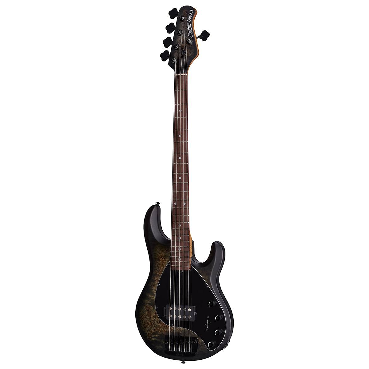 Đàn Guitar Bass Sterling By Music Man StingRay 5 Poplar Burl Top H, Rosewood Fingerboard - 5 Strings - Việt Music