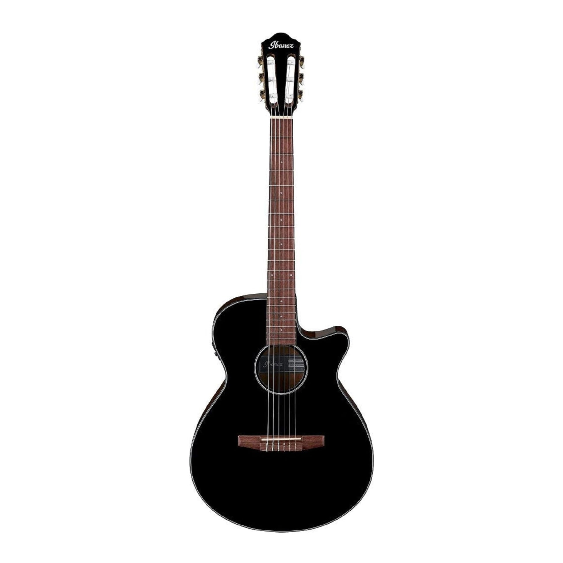 Đàn Guitar Classic Ibanez AEG50N - Việt Music