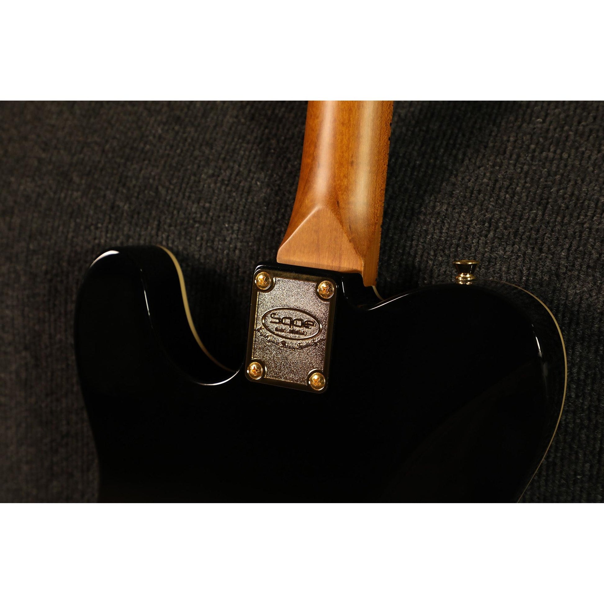 Đàn Guitar Điện Sqoe SETL1009 SS, Maple Fingerboard - Việt Music