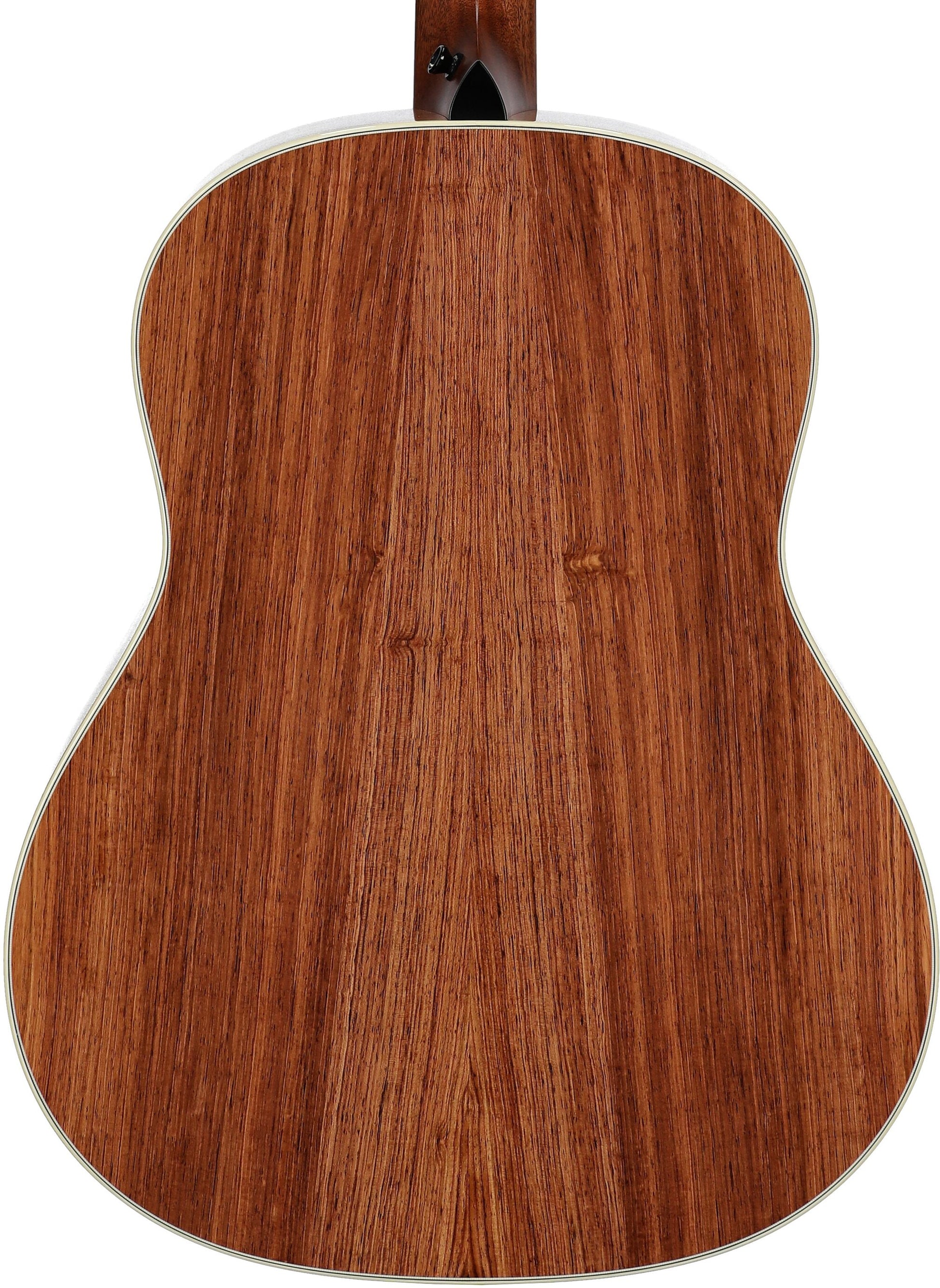 Đàn Guitar Acoustic Taylor Gold Label 817E - Việt Music