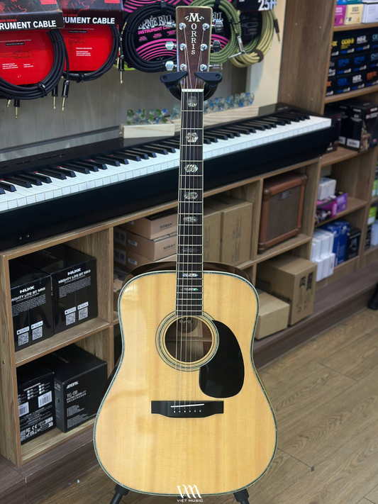 Đàn Guitar Acoustic Morris W60 - Qua Sử Dụng